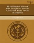 Image for Mitochondrial Ancient DNA Analysis of Lawson Cave Black Bears (Ursus Americanus)