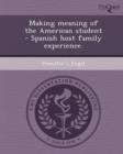 Image for Making Meaning of the American Student - Spanish Host Family Experience