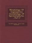 Image for Morphology of Angiosperms