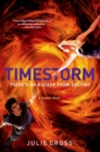Image for Timestorm: a Tempest novel