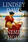 Image for Enemies at Home: A Flavia Albia Novel