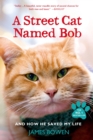 Image for Street Cat Named Bob: And How He Saved My Life
