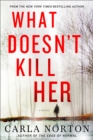 Image for What Doesn&#39;t Kill Her: A Novel