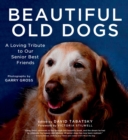 Image for Beautiful Old Dogs: A Loving Tribute to Our Senior Best Friends