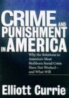 Image for Crime and Punishment in America