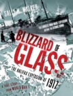 Image for Blizzard of Glass