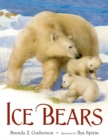 Image for Ice Bears
