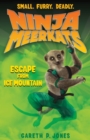 Image for Ninja Meerkats (#3): Escape from Ice Mountain