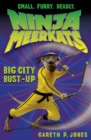 Image for Ninja Meerkats (#6): Big City Bust-Up : 6