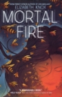 Image for Mortal Fire