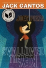 Image for Joey Pigza Swallowed the Key