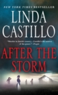 Image for After the Storm : A Kate Burkholder Novel