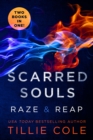 Image for Scarred Souls: Raze &amp; Reap