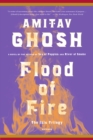 Image for Flood of Fire : A Novel