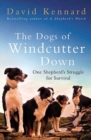Image for The dogs of Windcutter Down: one shepherd&#39;s struggle for survival