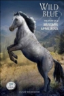 Image for Wild Blue: the story of a mustang Appaloosa