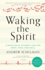 Image for Waking the spirit  : a musician&#39;s journey healing body, mind, and soul