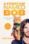 Image for A Street Cat Named Bob : And How He Saved My Life