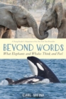Image for Beyond Words: What Elephants and Whales Think and Feel (A Young Reader&#39;s Adaptation)