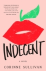 Image for Indecent: A Novel