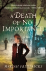 Image for Death of No Importance: A Mystery