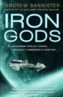 Image for Iron Gods: A Novel of the Spin