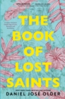 Image for The Book of Lost Saints