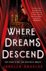 Image for Where Dreams Descend: A Novel