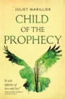 Image for Child of the Prophecy : Book Three of the Sevenwaters Trilogy