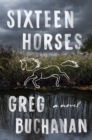 Image for Sixteen Horses