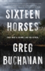 Image for Sixteen Horses: A Novel