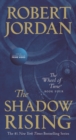 Image for The Shadow Rising : Book Four of &#39;The Wheel of Time&#39;