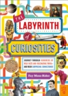 Image for The labyrinth of curiosities  : journey through hundreds of wild facts and fascinating trivia - and their surprising connections!