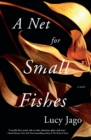 Image for A Net for Small Fishes : A Novel