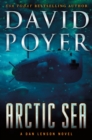 Image for Arctic Sea: A Dan Lenson Novel