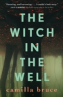 Image for The Witch In The Well