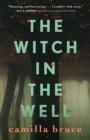 Image for The Witch in the Well