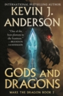 Image for Gods and Dragons: Wake the Dragon Book 3