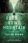 Image for Gods of Howl Mountain  : a novel