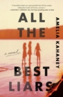 Image for All the Best Liars : A Novel