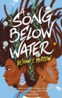 Image for A Song Below Water : A Novel