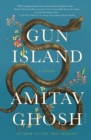 Image for Gun Island : A Novel