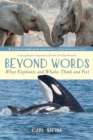 Image for Beyond words  : what elephants and whales think and feel