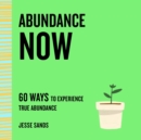 Image for Abundance now  : 60 ways to experience true abundance
