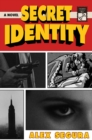 Image for Secret Identity : A Novel
