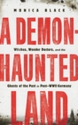 Image for A Demon-Haunted Land