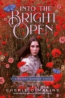Image for Into the bright open  : a Secret Garden remix