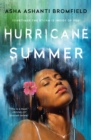 Image for Hurricane Summer : A Novel