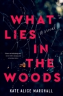 Image for What lies in the woods  : a novel