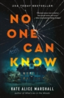 Image for No one can know  : a novel